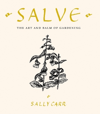 Salve - Sally Carr