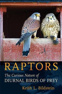 Raptors - Keith L. Bildstein