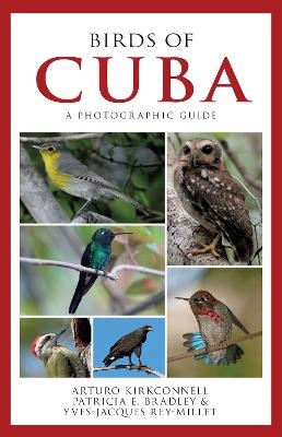 Birds of Cuba - Arturo Kirkconnell, Patricia E. Bradley, Yves-Jacques Rey-Millet