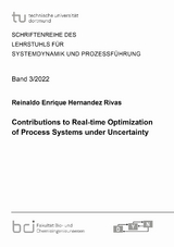 Contributions to Real-time Optimization of Process Systems under Uncertainty - Reinaldo Enrique Hernandez Rivas