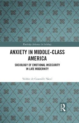 Anxiety in Middle-Class America - Valérie de Courville Nicol
