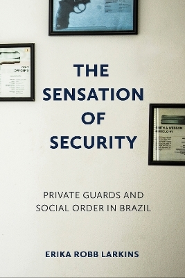 The Sensation of Security - Erika Robb Larkins