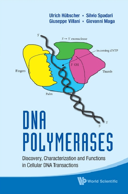 Dna Polymerases: Discovery, Characterization And Functions In Cellular Dna Transactions - Ulrich Hubscher, Giovanni Maga, Giuseppe Villani