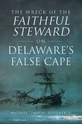 The Wreck of the Faithful Steward on Delaware's False Cape - Michael Dougherty
