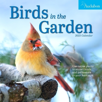 Audubon Birds in the Garden Wall Calendar 2023 -  Workman Calendars,  National Audubon Society