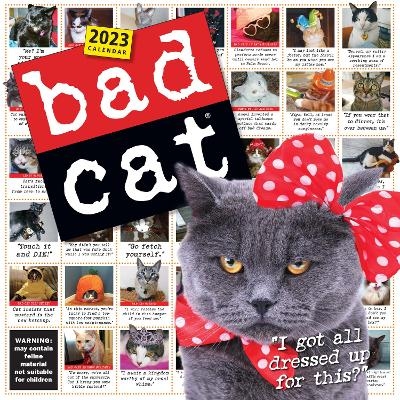 Bad Cat Wall Calendar 2023 -  Workman Calendars