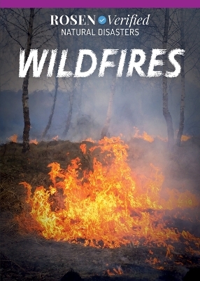 Wildfires - Theresa Emminizer