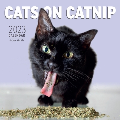 Cats on Catnip Wall Calendar 2023 - Andrew Marttila,  Workman Calendars