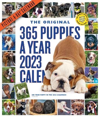 365 Puppies-A-Year Picture-A-Day Wall Calendar 2023 -  Workman Calendars