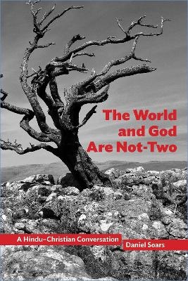The World and God Are Not-Two - Daniel Soars