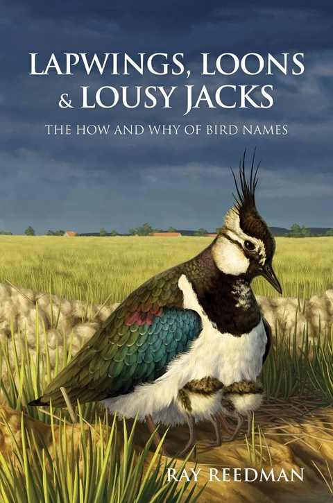 Lapwings, Loons and Lousy Jacks -  Ray Reedman