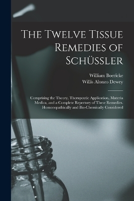 The Twelve Tissue Remedies of Schüssler - Willis Alonzo Dewey, William Boericke