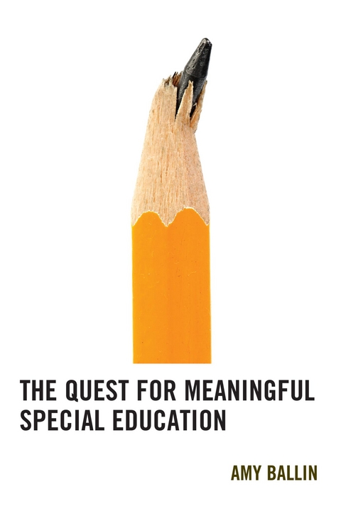 Quest for Meaningful Special Education -  Amy Ballin