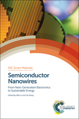 Semiconductor Nanowires - 