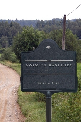 Nothing Happened - Susan A. Crane