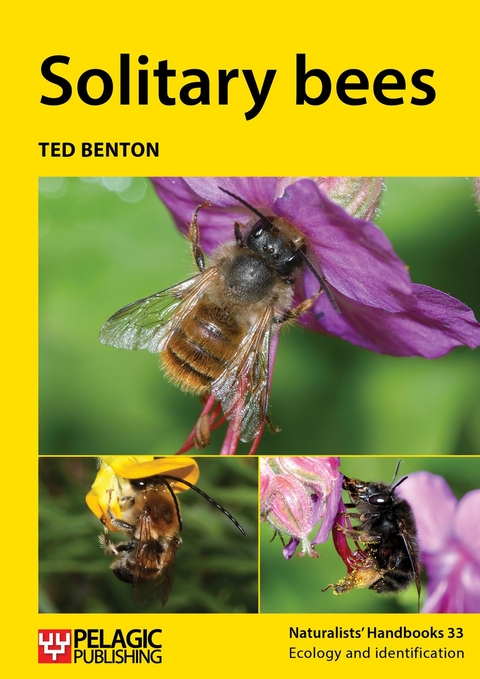 Solitary bees -  Ted Benton