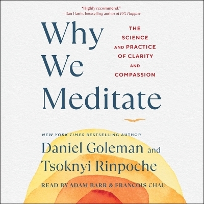 Why We Meditate - Tsoknyi Rinpoche