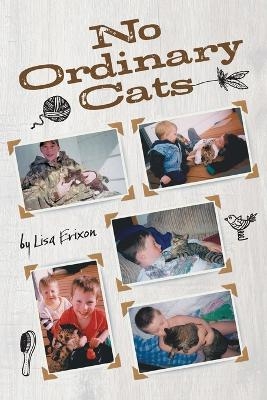 No Ordinary Cats - Lisa Erixon