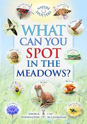 What Can You Spot in the Meadows? - Caz Buckingham, Ben Hoare, Andrea Pinnington