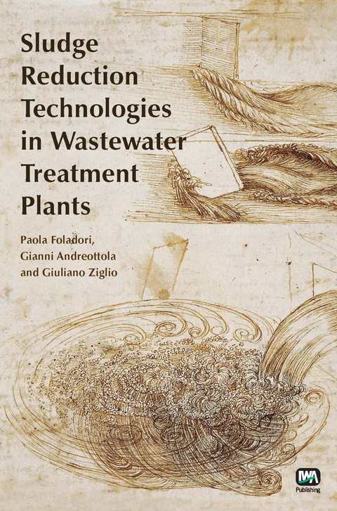 Sludge Reduction Technologies in Wastewater Treatment Plants -  Gianni Andreottola,  Paola Foladori,  Giuliano Ziglio