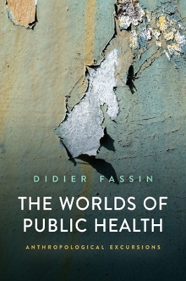 The Worlds of Public Health - Didier Fassin