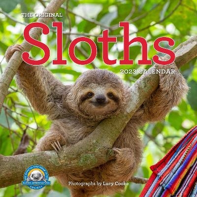 Original Sloths Wall Calendar 2023 - Lucy Cooke,  Workman Calendars