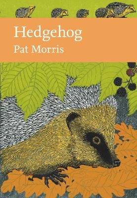 Hedgehog - Pat Morris