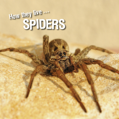 How they live... Spiders - Ivan Esenko, David Withrington