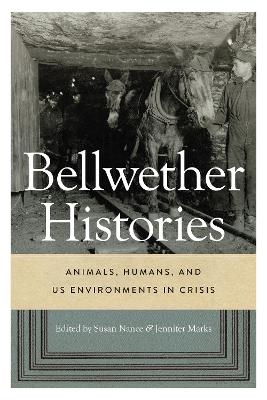 Bellwether Histories - 