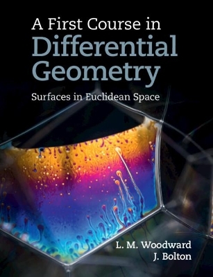 A First Course in Differential Geometry - Lyndon Woodward, John Bolton