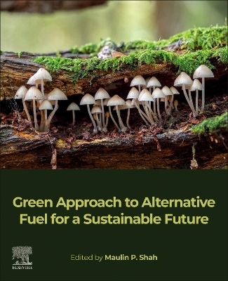 Green Approach to Alternative Fuel for a Sustainable Future - 