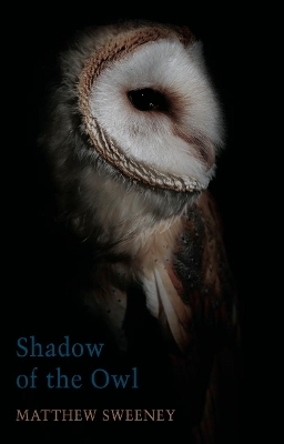 Shadow of the Owl - Matthew Sweeney