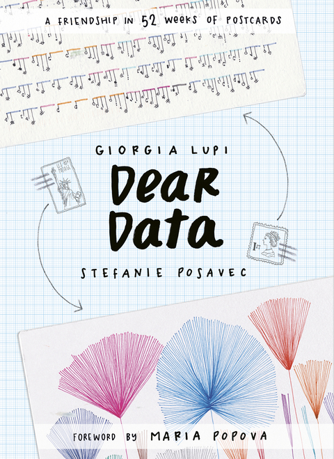 Dear Data -  Giorgia Lupi,  Stefanie Posavec