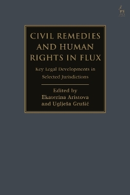 Civil Remedies and Human Rights in Flux - 