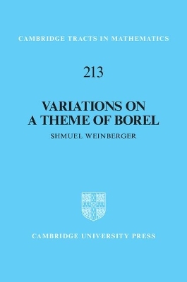 Variations on a Theme of Borel - Shmuel Weinberger