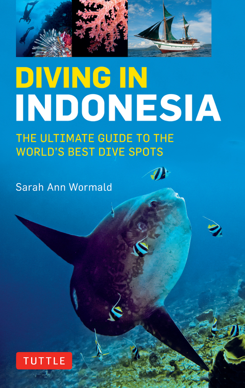 Diving in Indonesia - Sarah Ann Wormald