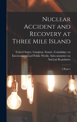 Nuclear Accident and Recovery at Three Mile Island - 