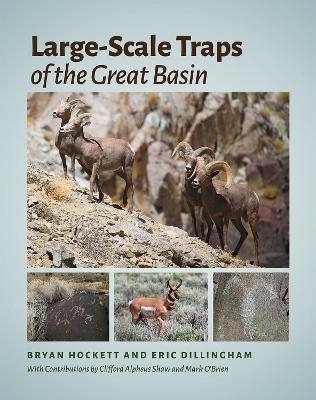 Large-Scale Traps of the Great Basin - Bryan Hockett, Eric Dillingham, Clifford Alpheus Shaw, Mark O'Brien