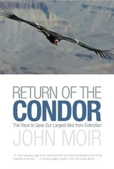 Return of the Condor -  John Moir