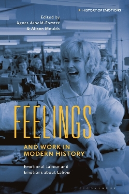 Feelings and Work in Modern History - 