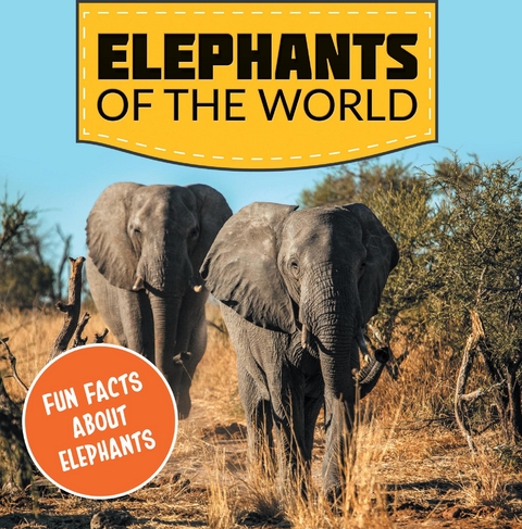 Elephants of the World: Fun Facts About Elephants -  Baby Professor