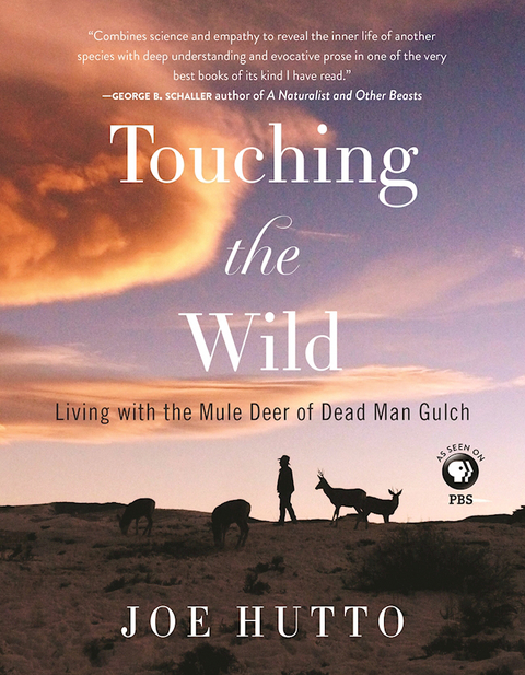 Touching the Wild -  Joe Hutto