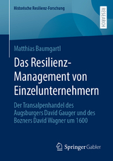 Das Resilienz-Management von Einzelunternehmern - Matthias Baumgartl