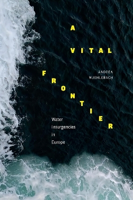 A Vital Frontier - Andrea Muehlebach