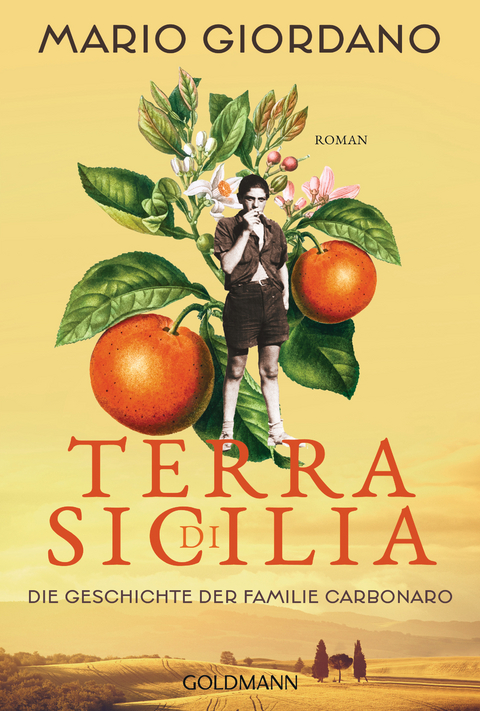 Terra di Sicilia. Die Geschichte der Familie Carbonaro - Mario Giordano