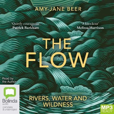 The Flow - Amy-Jane Beer