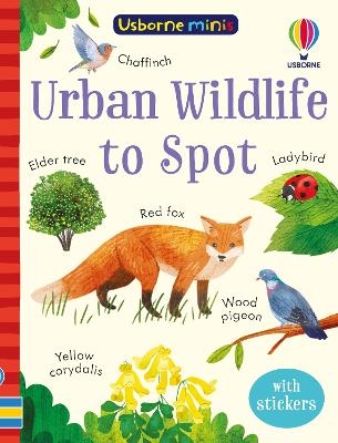 Urban Wildlife to Spot - Kate Nolan