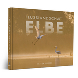 Flusslandschaft Elbe - 