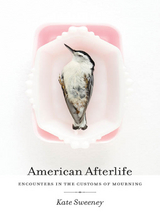 American Afterlife -  Kate Sweeney