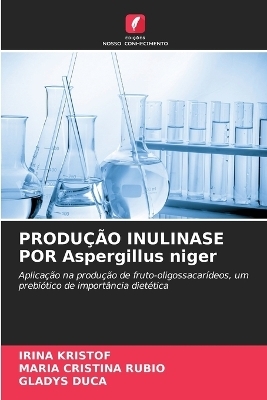 PRODUÇÃO INULINASE POR Aspergillus niger - IRINA KRISTOF, María Cristina Rubio, GLADYS DUCA